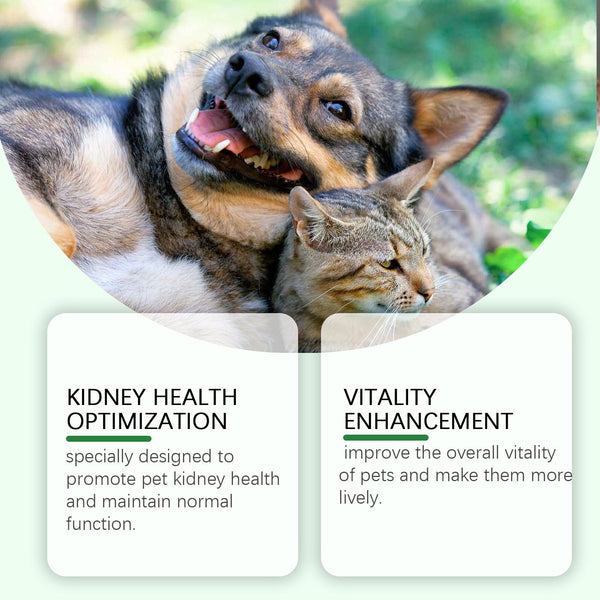 Pet Care Supplement To Enhance The Health Of Pets Gentle Ingredient Care Supplement