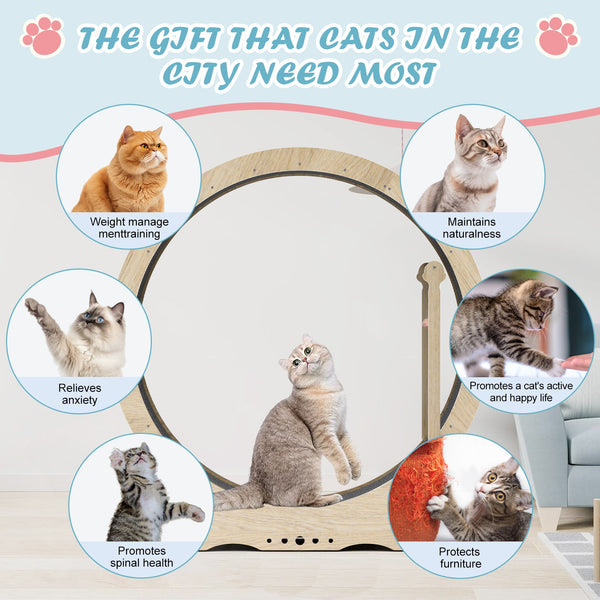 Indoor cat treadmill with carpet, tear device and latch natural wood, 39.4 inches long x 13.2 inches wide x 41.3 inches high