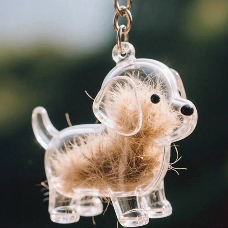 A transparent DIY pet hair memorial keychain box, a sweet keepsake for dog lovers.