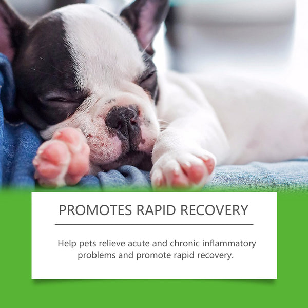 Dietary Supplements For Dogs, To Promote Pet Health Pet Dogs Special Dietary Supplements