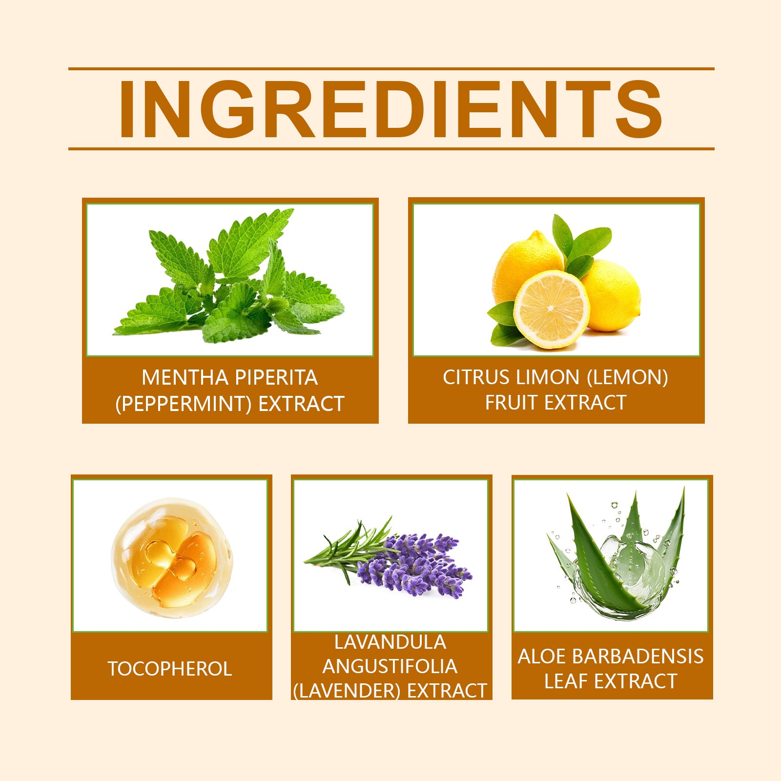 Herbal Gum Powder Herbal Care Clean Teeth Clean Fresh Remove Yellow Stains Clean Teeth