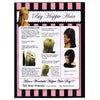 5PCS Bumpits Big Happie Hair Volumizing