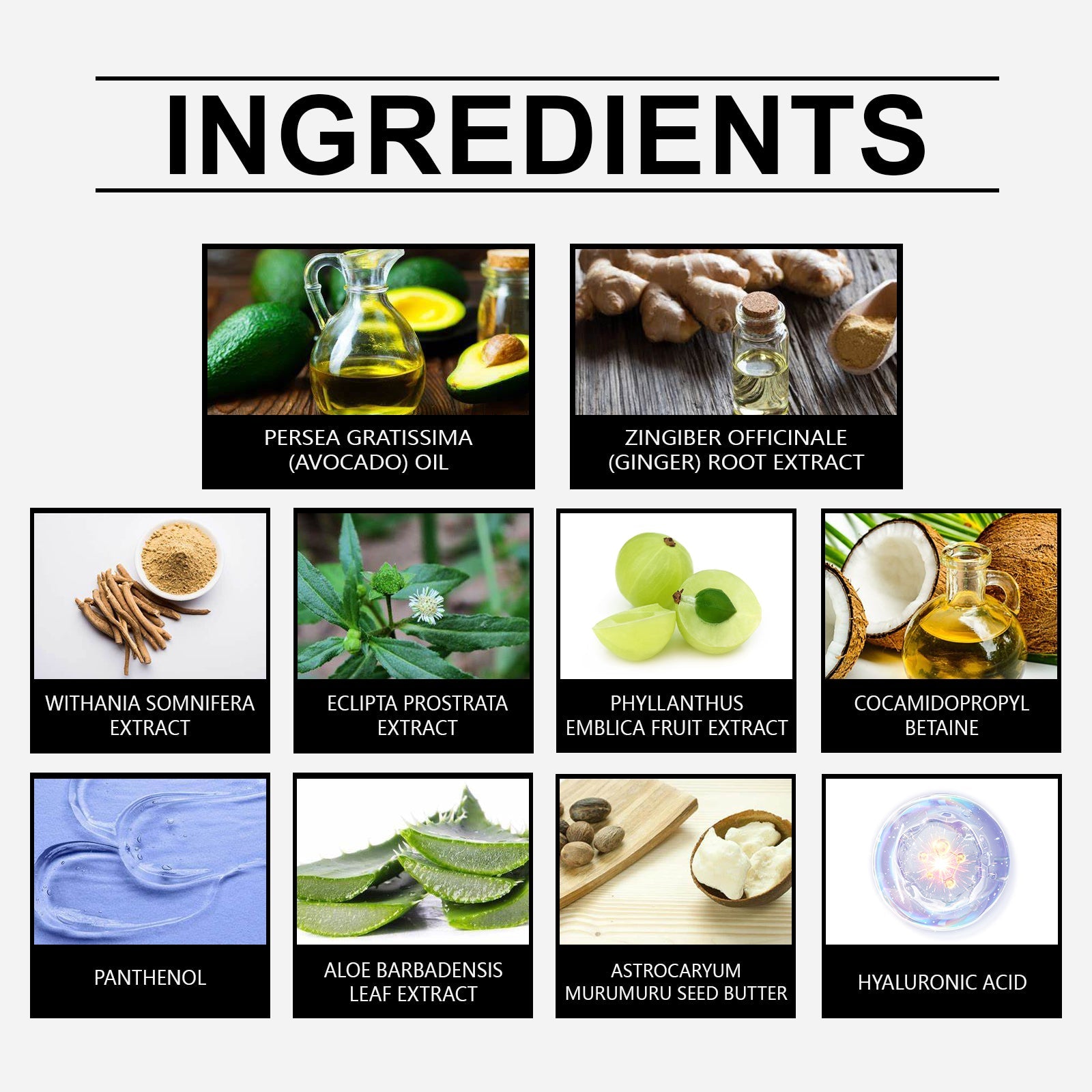 Herbal Hair Care Shampoo Gently Cleanses Scalp And Improves Frizzy Hair Care Shampoo