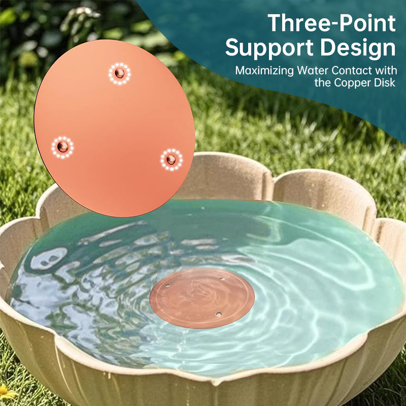 Universal Bird Bath Copper Tray with 3-point Support Purification Plate – for Outdoor Bird Baths & Feeding Bowls