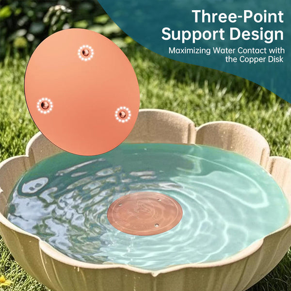 Universal Bird Bath Copper Tray with 3-point Support Purification Plate – for Outdoor Bird Baths & Feeding Bowls