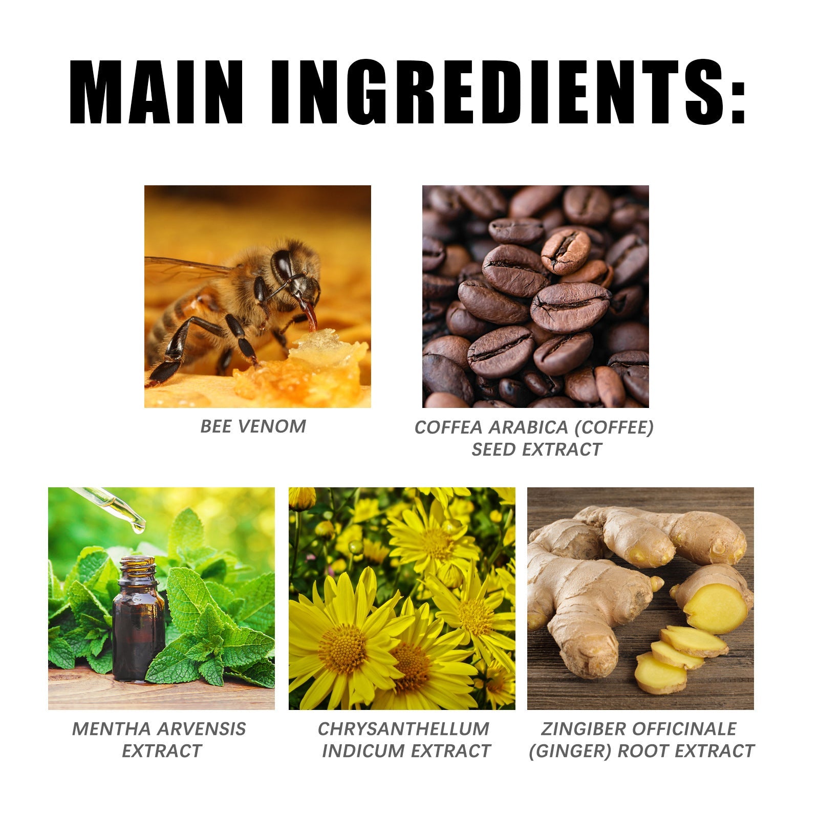 Bee Venom Care Cream Gentle Light Care Firming Muscle Curves Body Moisturizing Moisturizer