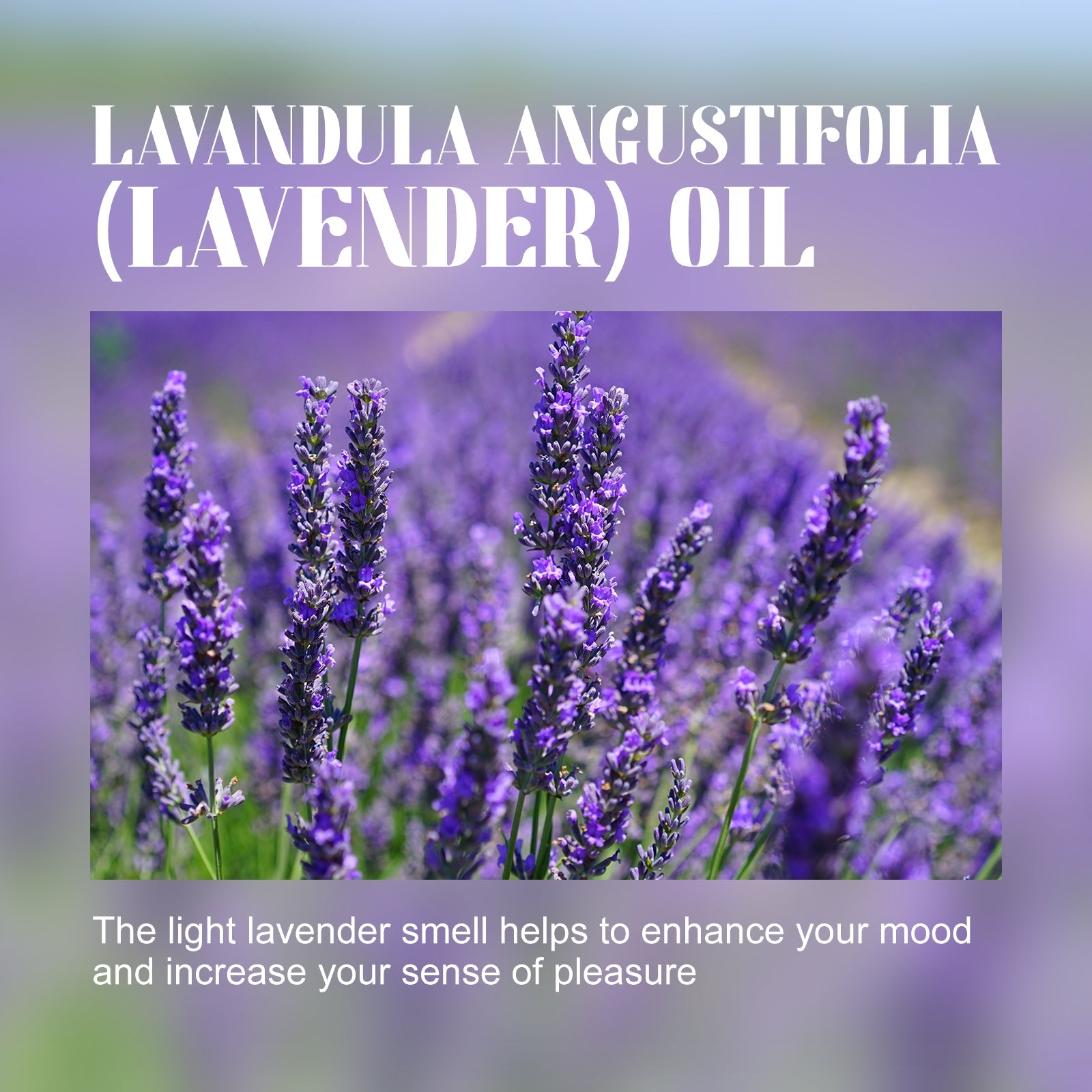 Lavender Essential Oil, Skin Moisturizing Whitening Beauty Firming Skin Relaxing Body Massage Essential Oil
