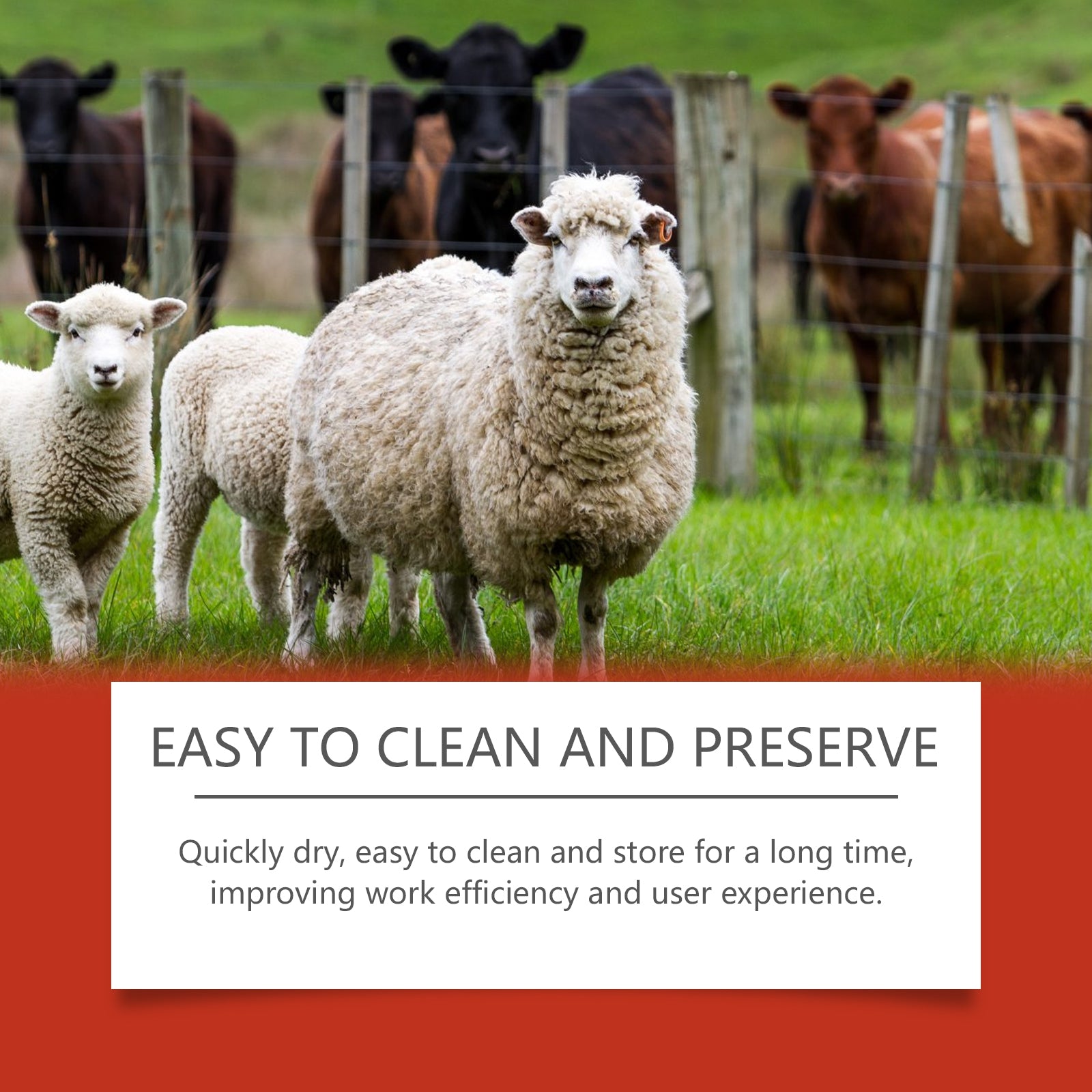 Livestock Marker Crayon Lubricates Durable And Clearly Distinguishes Clear Marker Crayon Livestock Classification