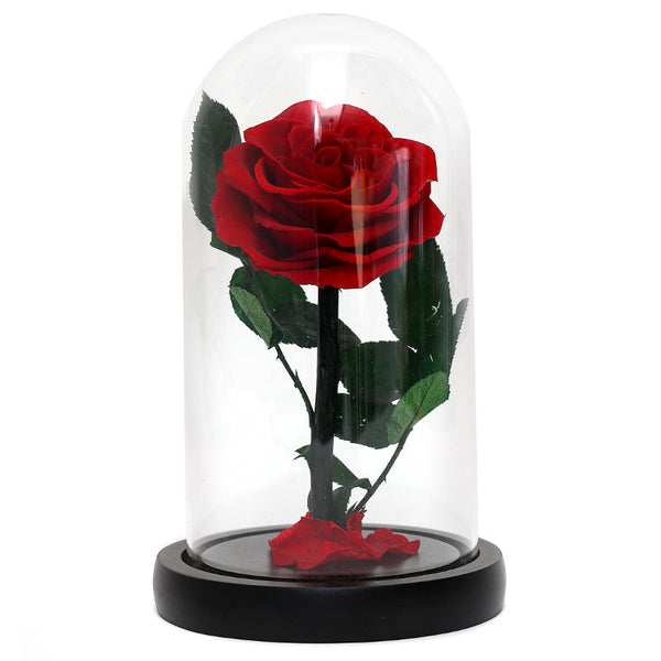 Christmas Valentine's Day Creative Gift Gift for Girlfriend Glass Cover Eternal Flower Gift Box Eternal Rose Gift Ornament