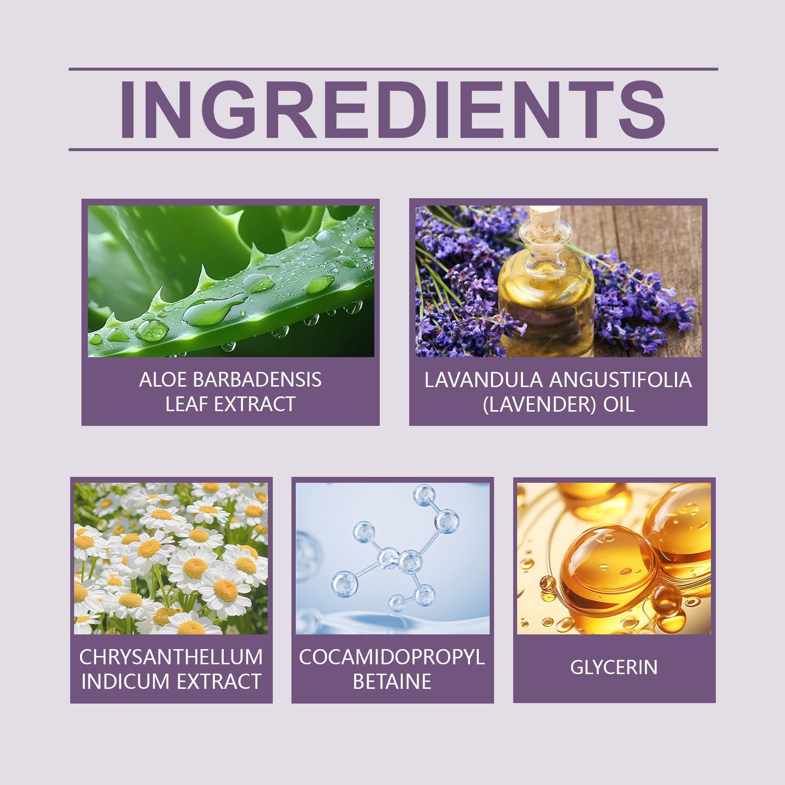 Moisturizing Cleanser Cleans Pores, Balances Oils, Refreshes And Nourishes Skin