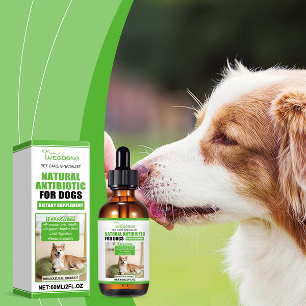 Dietary Supplements For Dogs, To Promote Pet Health Pet Dogs Special Dietary Supplements