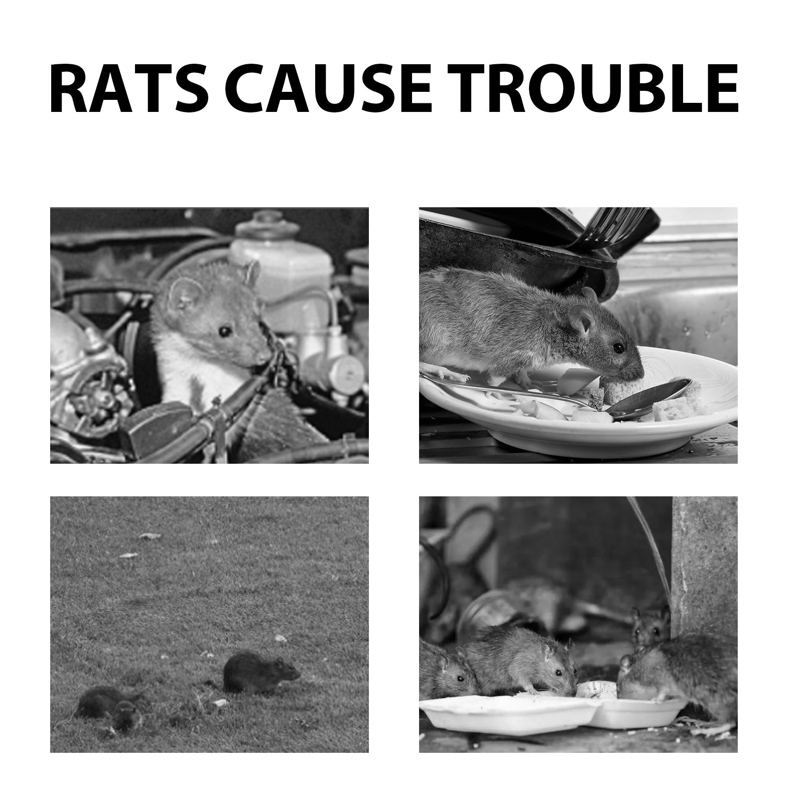 Mouse Repeller, Car Engine Outdoor Home Indoor Mouse Repellent Mouse Repellent Pill