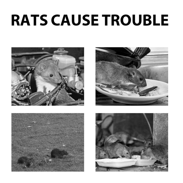 Mouse Repeller, Car Engine Outdoor Home Indoor Mouse Repellent Mouse Repellent Pill