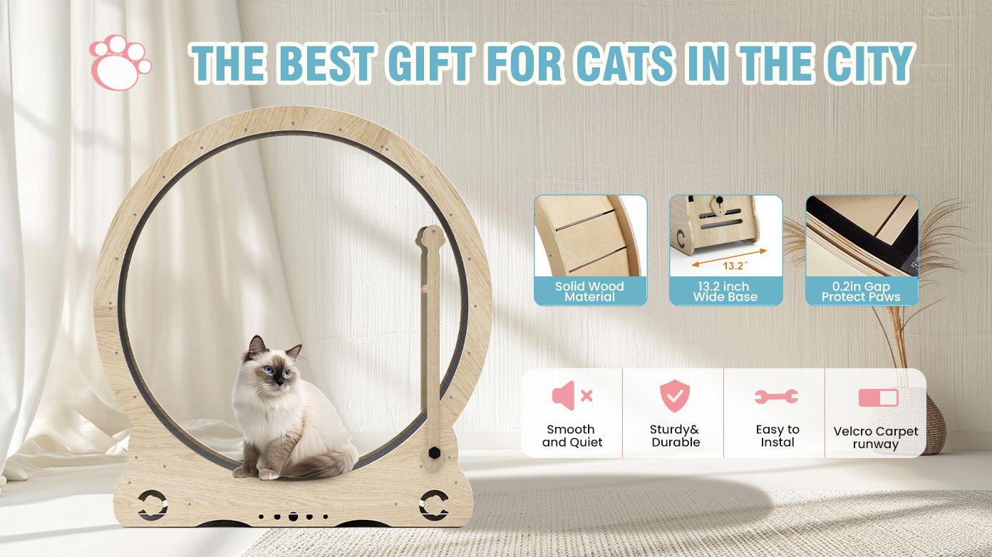 Indoor cat treadmill with carpet, tear device and latch natural wood, 39.4 inches long x 13.2 inches wide x 41.3 inches high