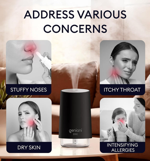 Humidifier Erie 250ML, Black