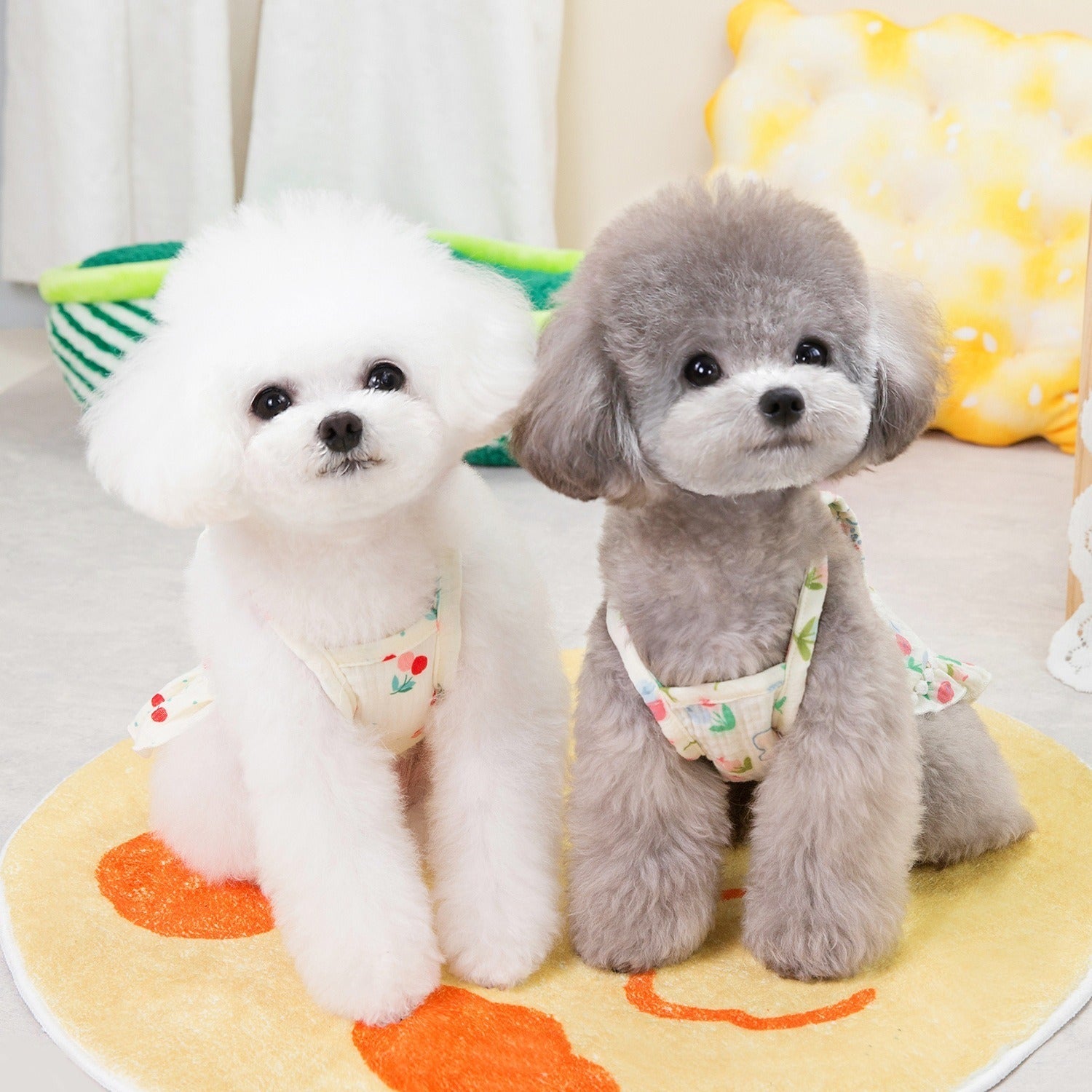 Puppy costume Teddy Schnauzer peach heart gauze skirt