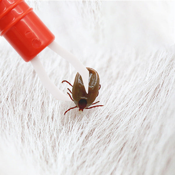 Pet Supplies Dog Cleaning Tool Lice Catcher Flea Tick Clip Pet Bug Pen