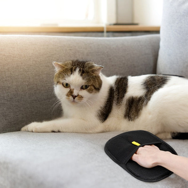 Static Pet Hair Removal Gloves - 3-in-1 Grooming, Deshedding & Multi-Surface Hair Remover for Dogs & Cats