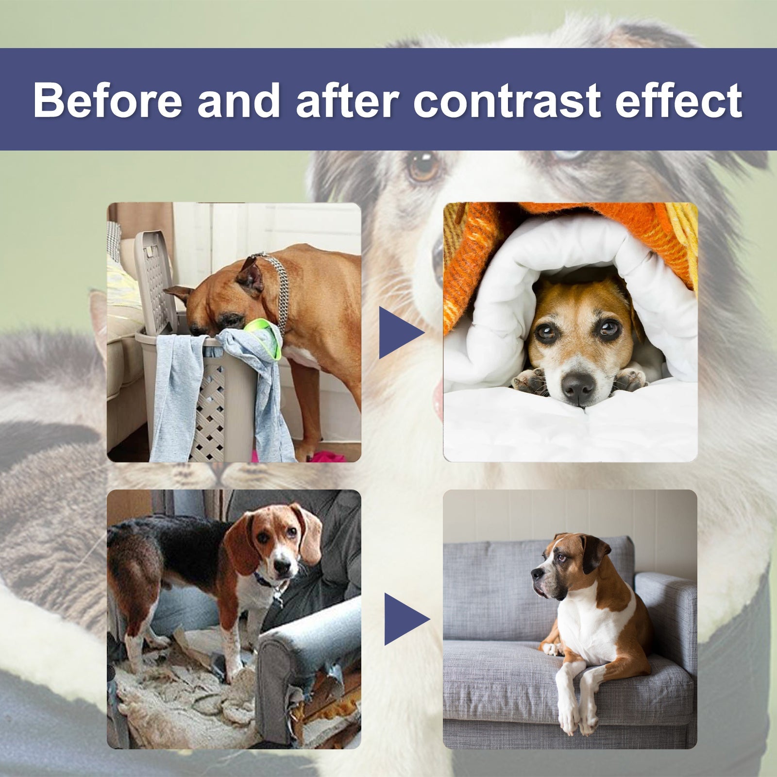 Pet Bitter Anti-Biting Spray, Prevent Dogs Chewing Table And Chair Legs, Scratching Sofa Spray