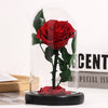 Christmas Valentine's Day Creative Gift Gift for Girlfriend Glass Cover Eternal Flower Gift Box Eternal Rose Gift Ornament