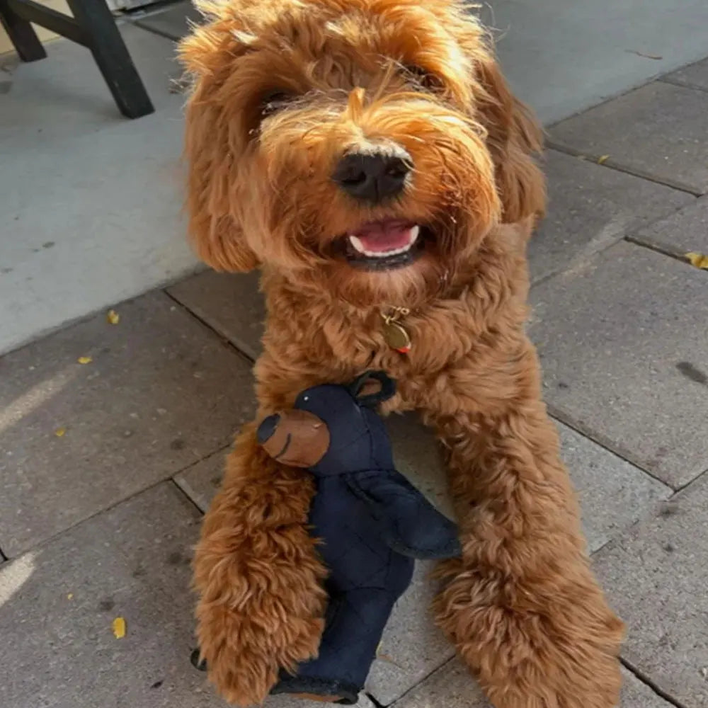 Mighty Bear Pet Soundmaking Toy Plush Interactive Dog Toy Grinding Cleaning Teeth Anti Bite Abreact Plaything Bear Pets Supplies