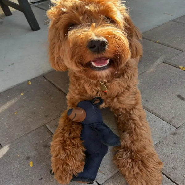 Mighty Bear Pet Soundmaking Toy Plush Interactive Dog Toy Grinding Cleaning Teeth Anti Bite Abreact Plaything Bear Pets Supplies