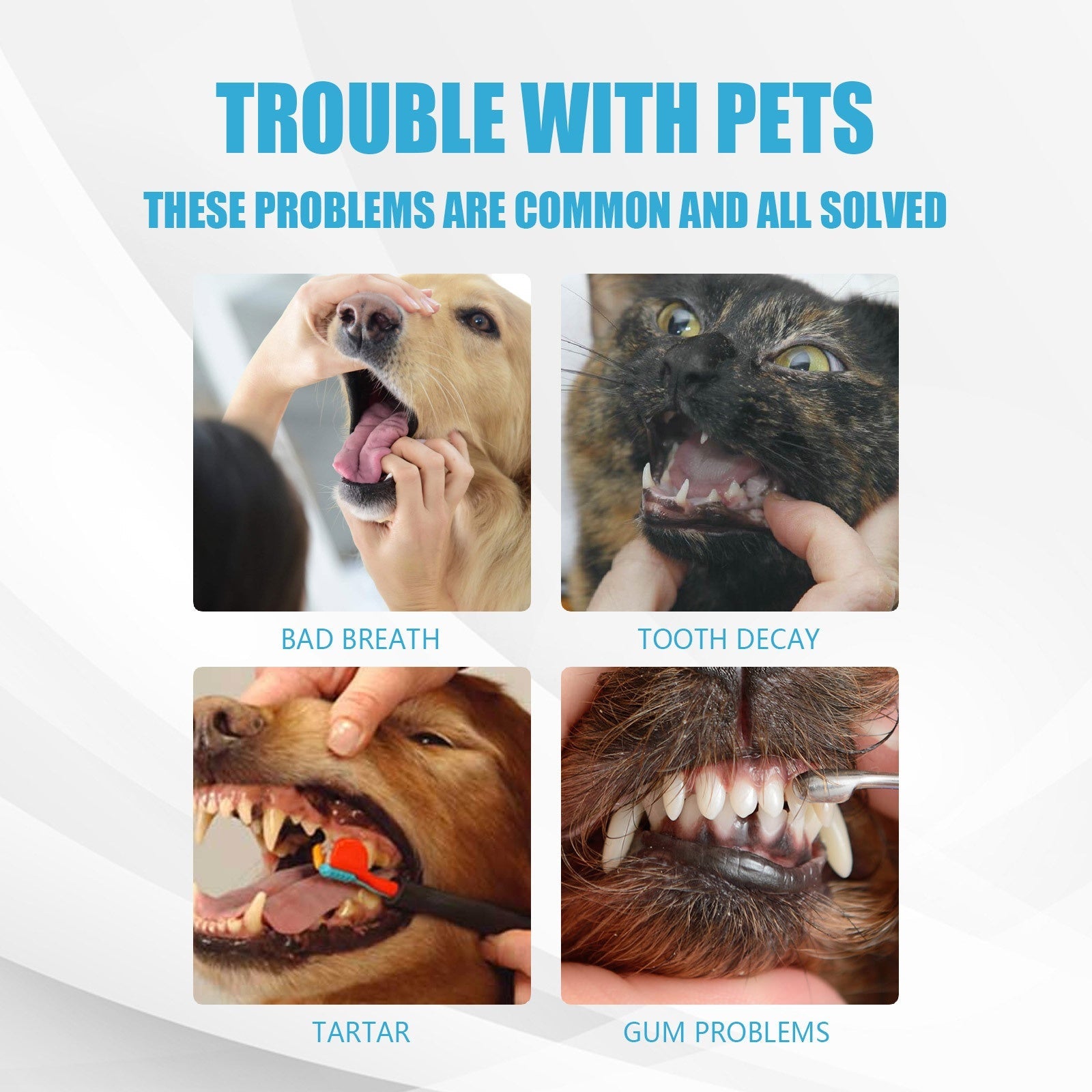 Pet Toothpaste for Dogs and Cats Oral Care Edible Fresh Breath Dental Cleaning