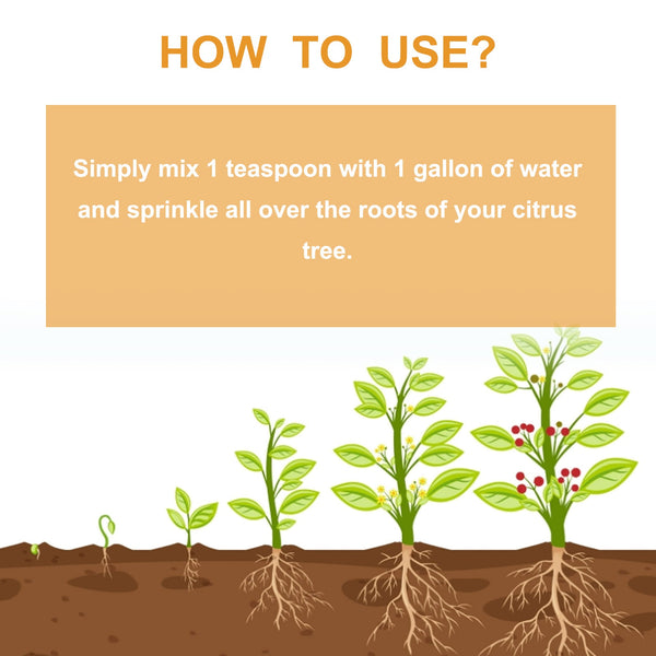 Premium 3-1-2 Liquid Fertilizer Concentrate For Citrus Trees, Orange Fruit Tree Plant Root Green Leaf Beauty Fruit Growth Nutrient Solution