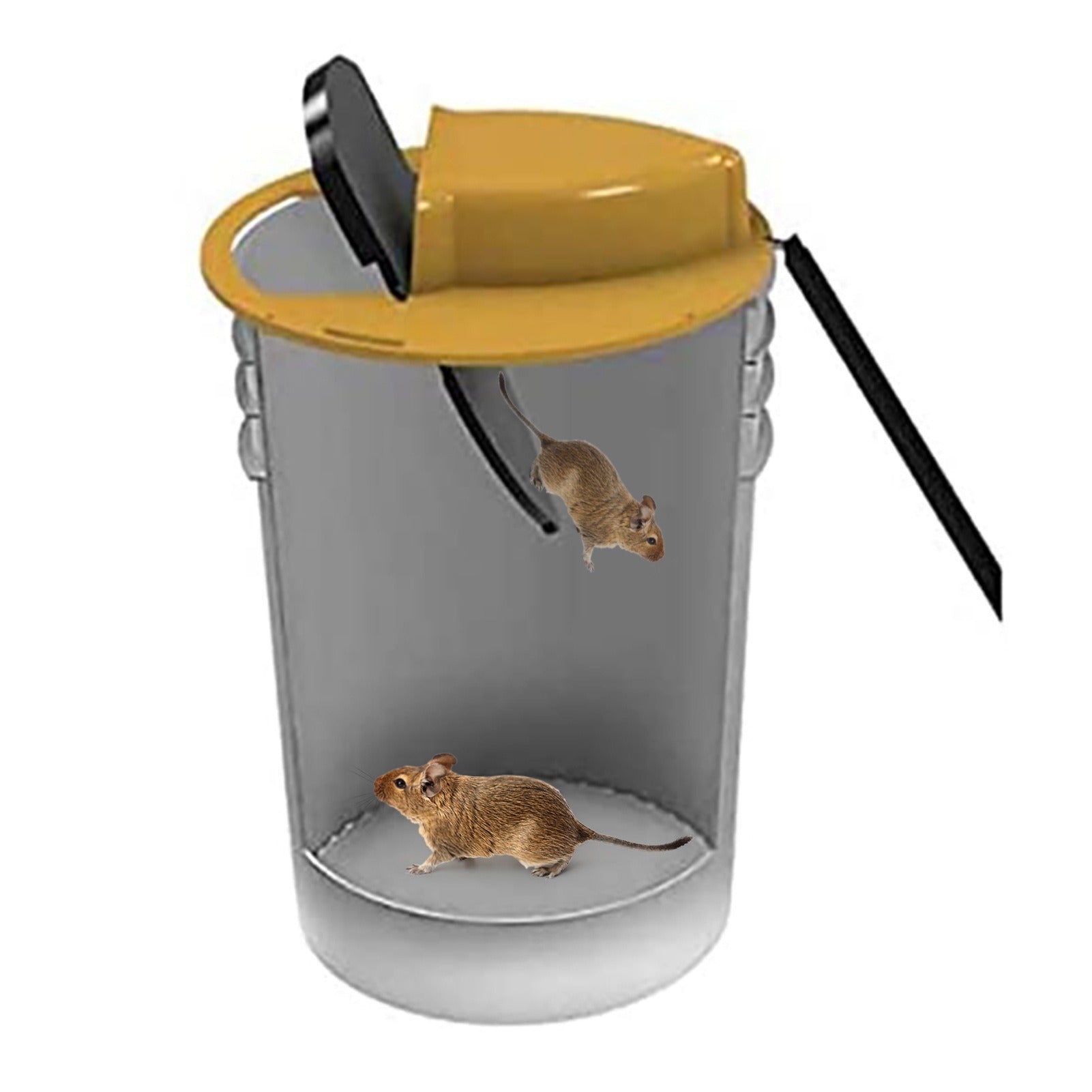 Mice Mouse Trap Bucket Flip Lid,Mouse Trap Bucket Indoor Outdoor,Humane Mouse Trap,Mouse Trap Bucket Lid Auto Reset