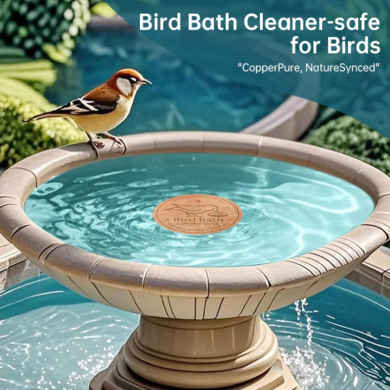 Universal Bird Bath Copper Tray with 3-point Support Purification Plate – for Outdoor Bird Baths & Feeding Bowls