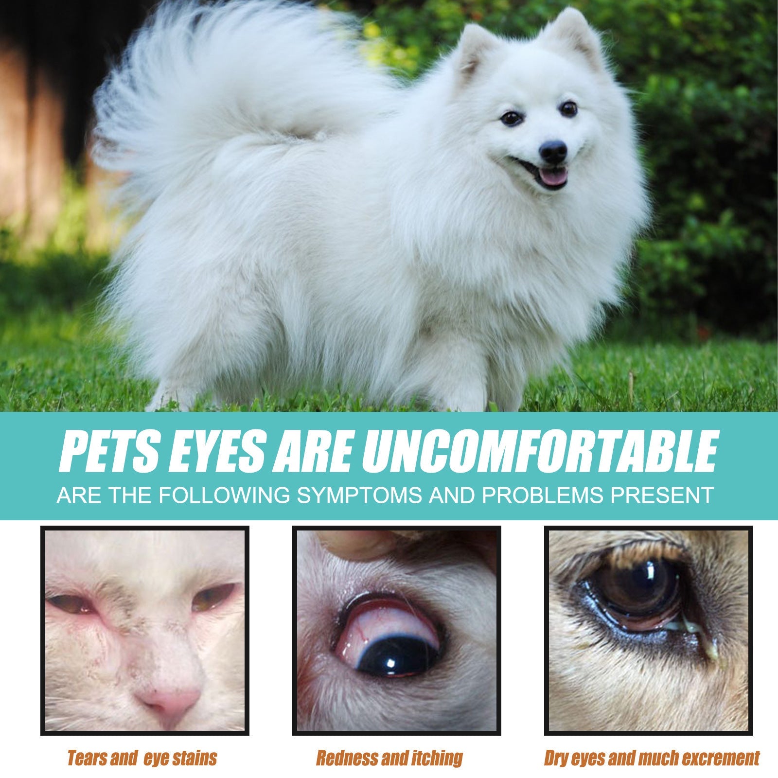 Tear Duct Serum For Dogs, Cats And Dogs Removal Eye Poop Pet Topical Eye Tear Stain Serum