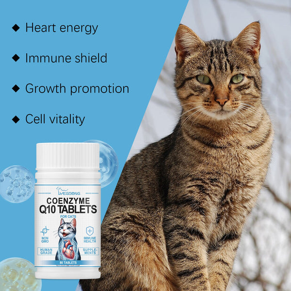 Cats Protect Health And Vitality With Coenzyme Tablets Coenzyme Q10 For Cats To Absorb Nutritional Supplements