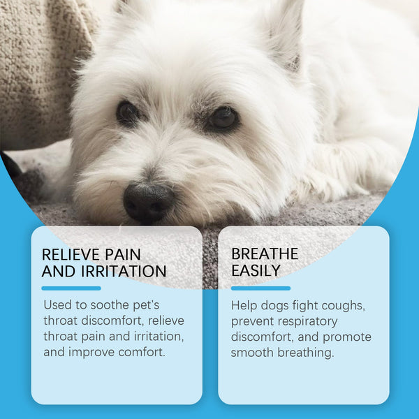 Dog Syrup, Pet Dogs Absorb Nutrition Care Health Special Maintenance Supplement Syrup