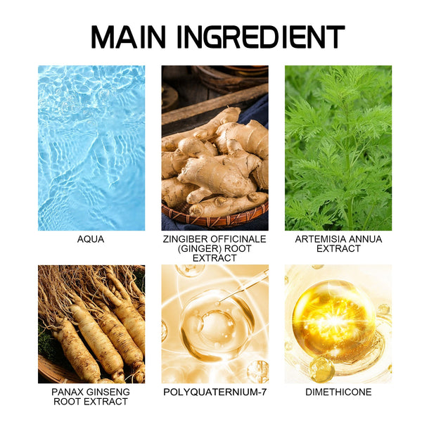 Sweet Wormwood Anti-Dandruff Scalp Lotion, Gentle Cleaning Scalp Dandruff Anti-Itchy Soft Fluffy Hair Shampoo