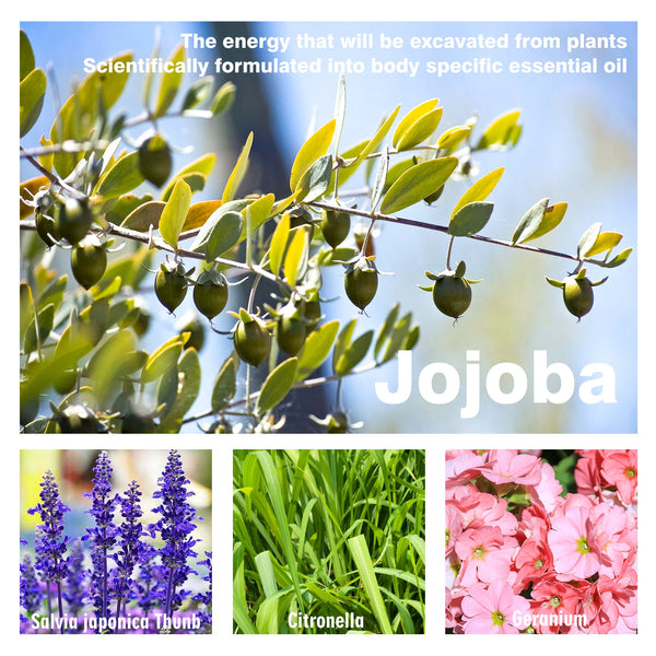 Beauty Ball Essential Oil, Firming Plump Massage Beauty Breast Care Essential Oil