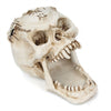 Fang Fang Terror Face Skull Storage Pen Holder Office Desktop