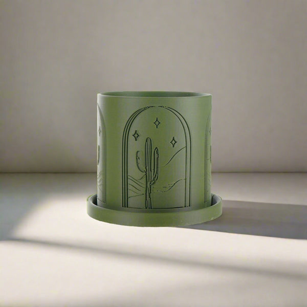 Cactus Planter