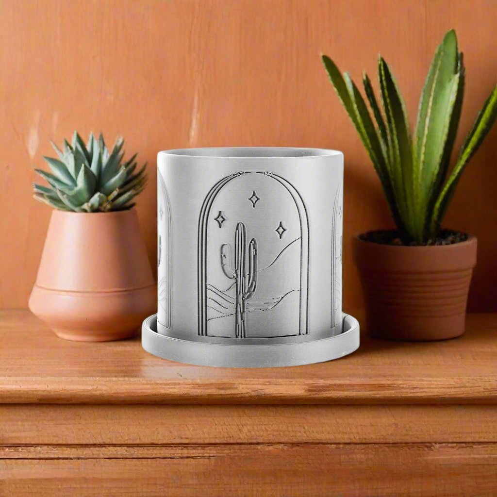 Cactus Planter
