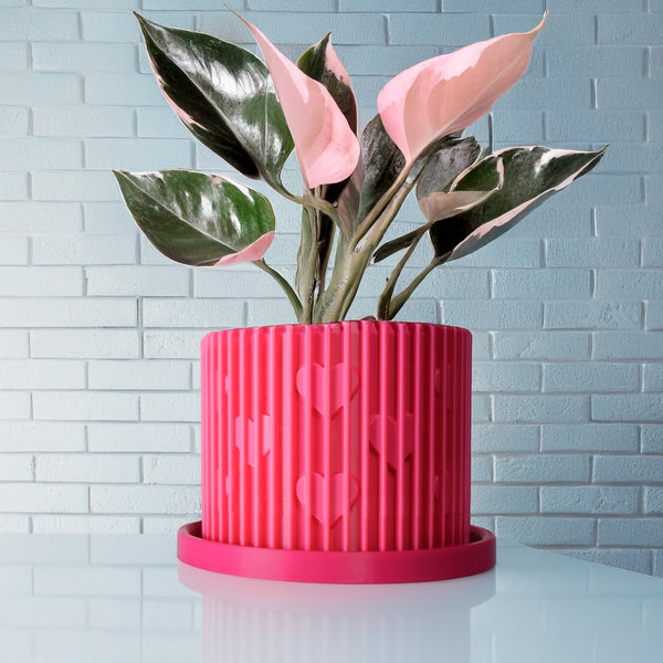 Modern Heart-Shaped Planter with Drainage & Saucer – Unique Valentine’s Day Gift for Plant Lovers, 3d Printed Planter Home Hosting Decor,