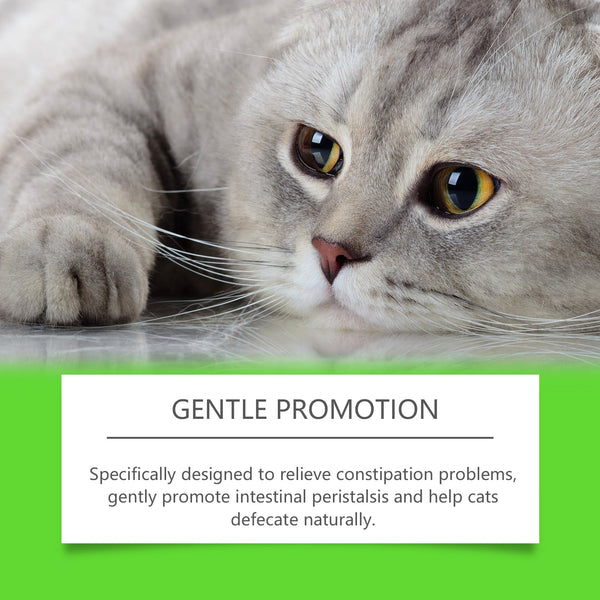 Cats With Probiotic Drops, Care For Cats Health And Vitality Care Absorb Nutritional Supplements