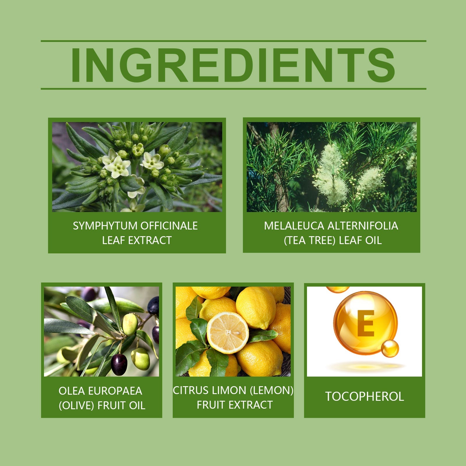 Herbal Treatment Cream Massage Applied To Knee, Wrist, Waist And Shoulder Discomfort Daily Treatment Cream