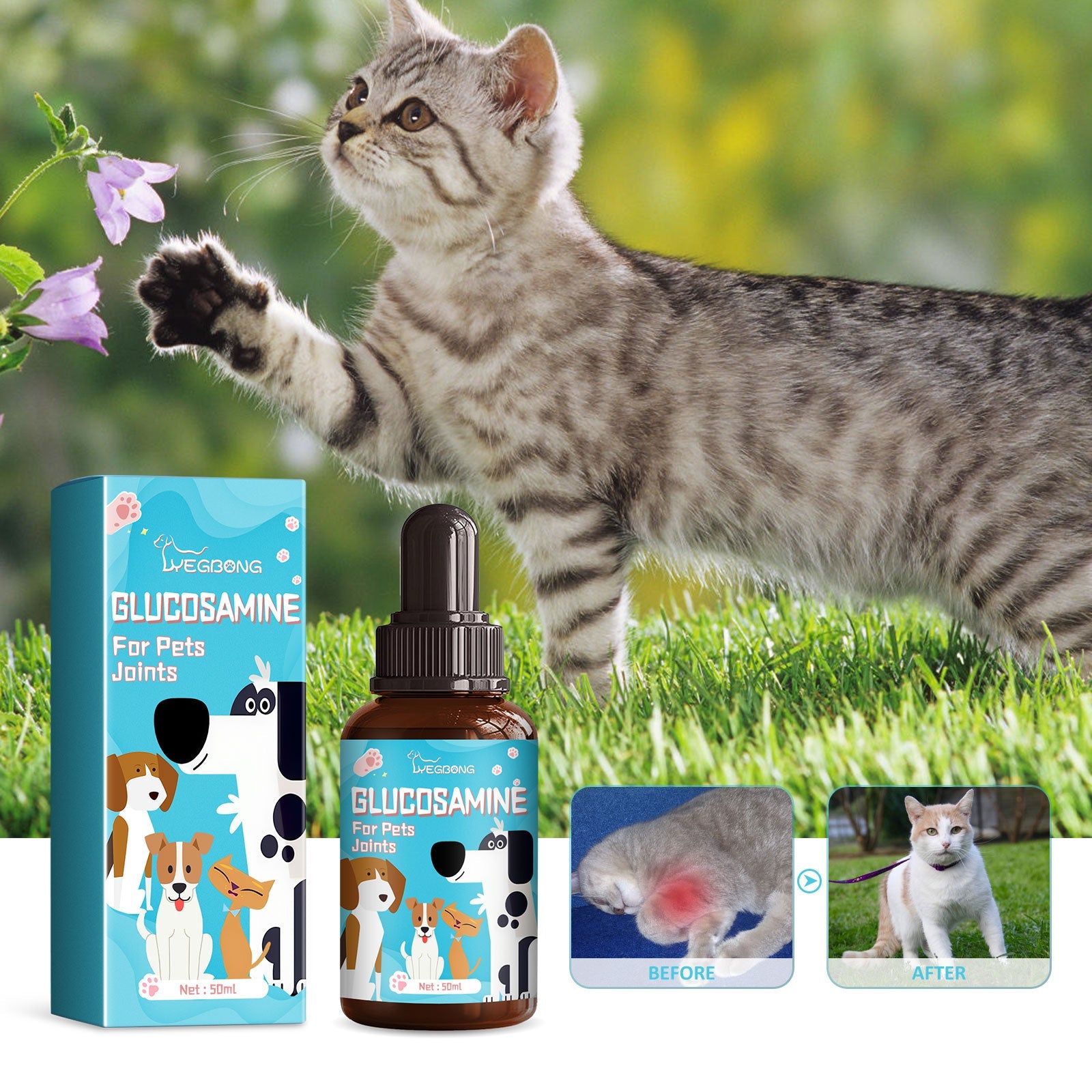 Pet Glucosamine Drops Relieve Pain Of Bones And Joints For Pets Body Care For Cats And Dogs