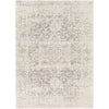 5' x 7' Distressed Oriental Area Rug in Light Grey / Beige