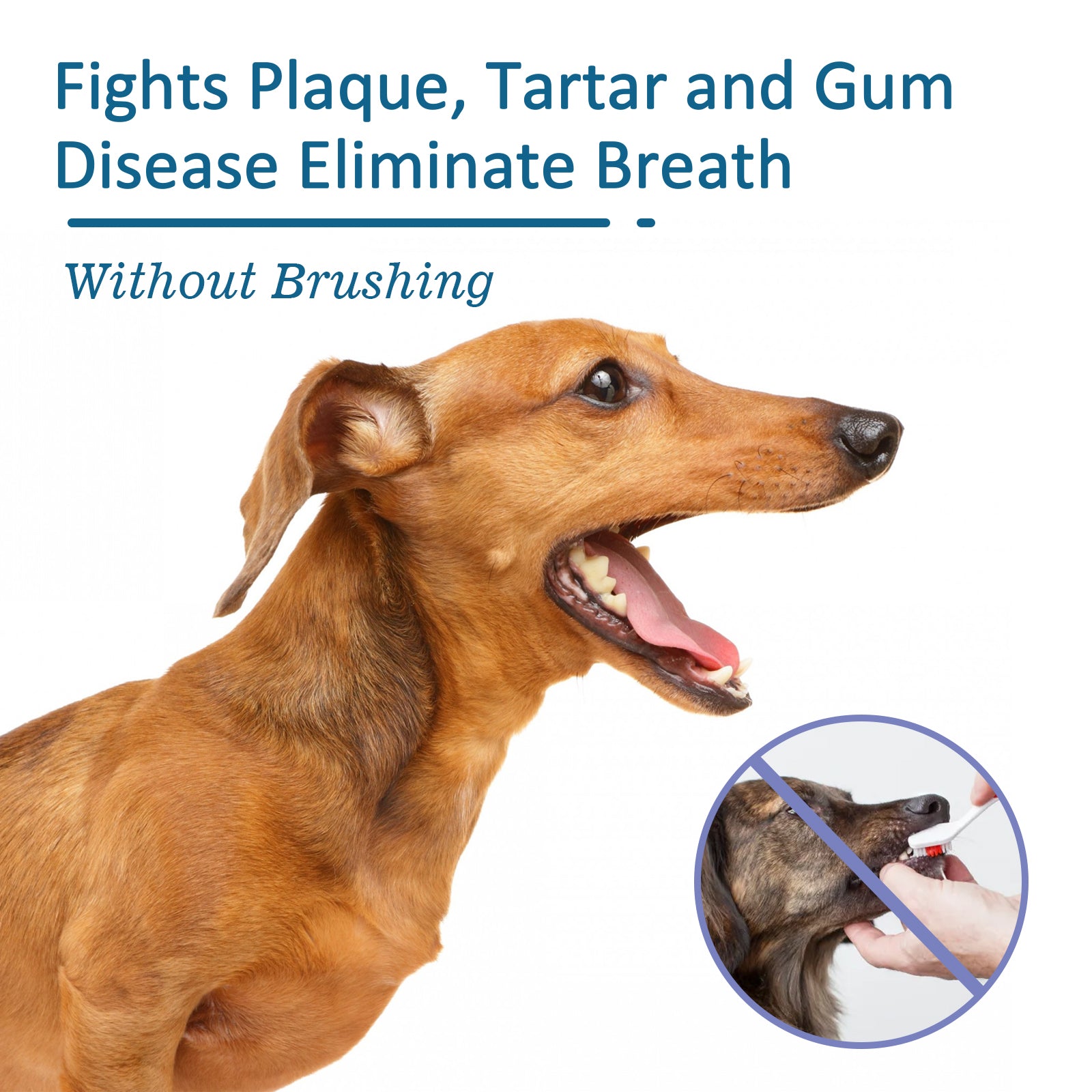 Pet Oral Cleaning Spray, Cats And Dogs Remove Tartar And Bad Breath Fresh Mouth Care Spray