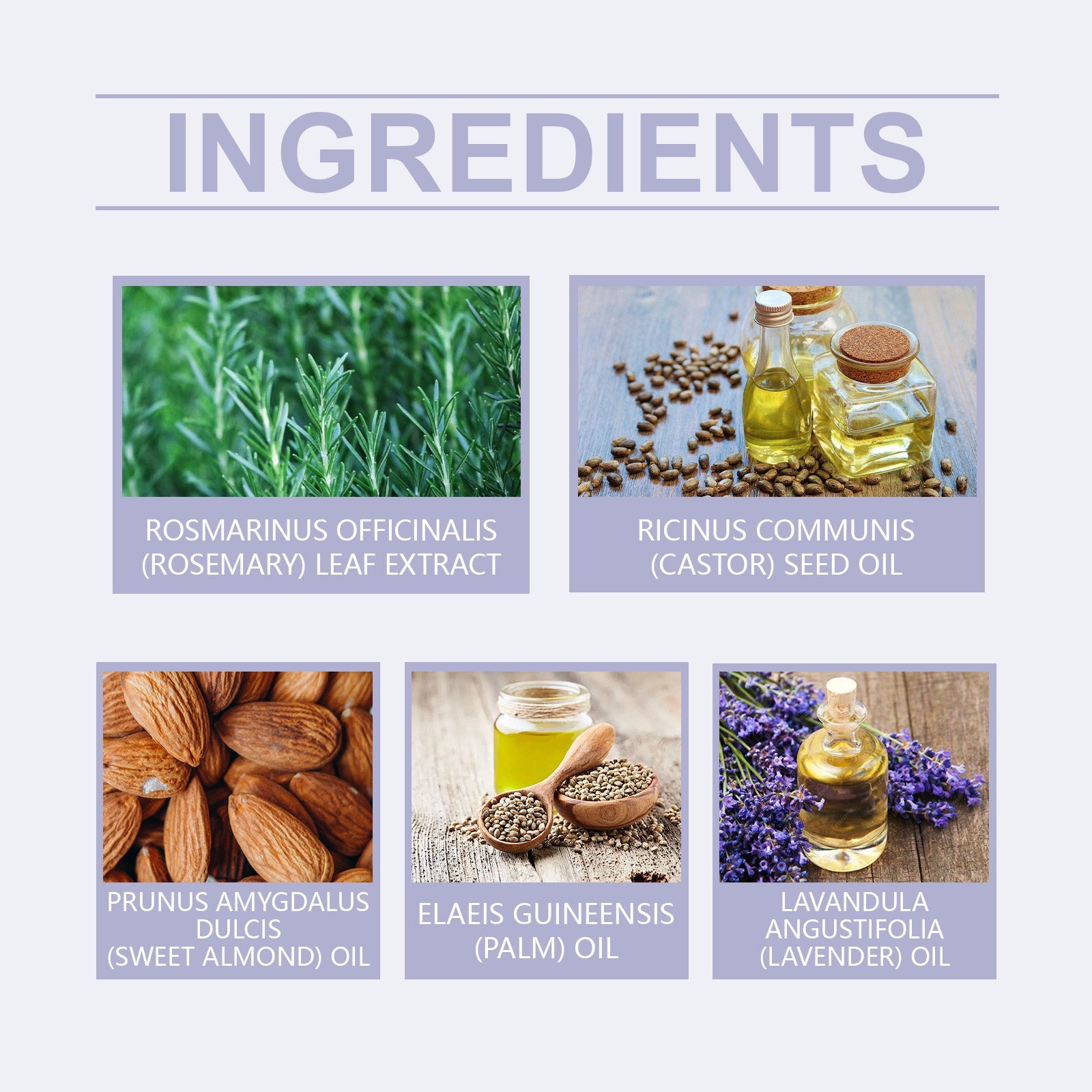 Plant Extract Blend Hair Care Essential Oil Nourishes Scalp, Shampooing, Nourishing Hair, Moisturizing And Smoothing Hair Care Essence