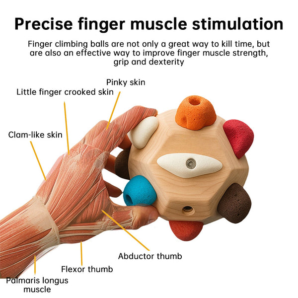 Handmade Boulder: Climbing Support, Strength Building, Exact Decor, Gift