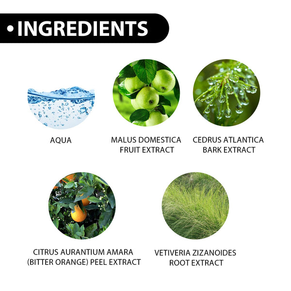 Men's Eau De Toilette Spray Lasting Fragrance Fresh Natural Elegant Release Charm Dating Atmosphere Niche Perfume