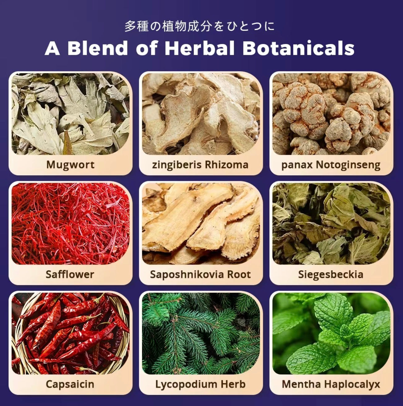 HerbaWarm Relief Patches