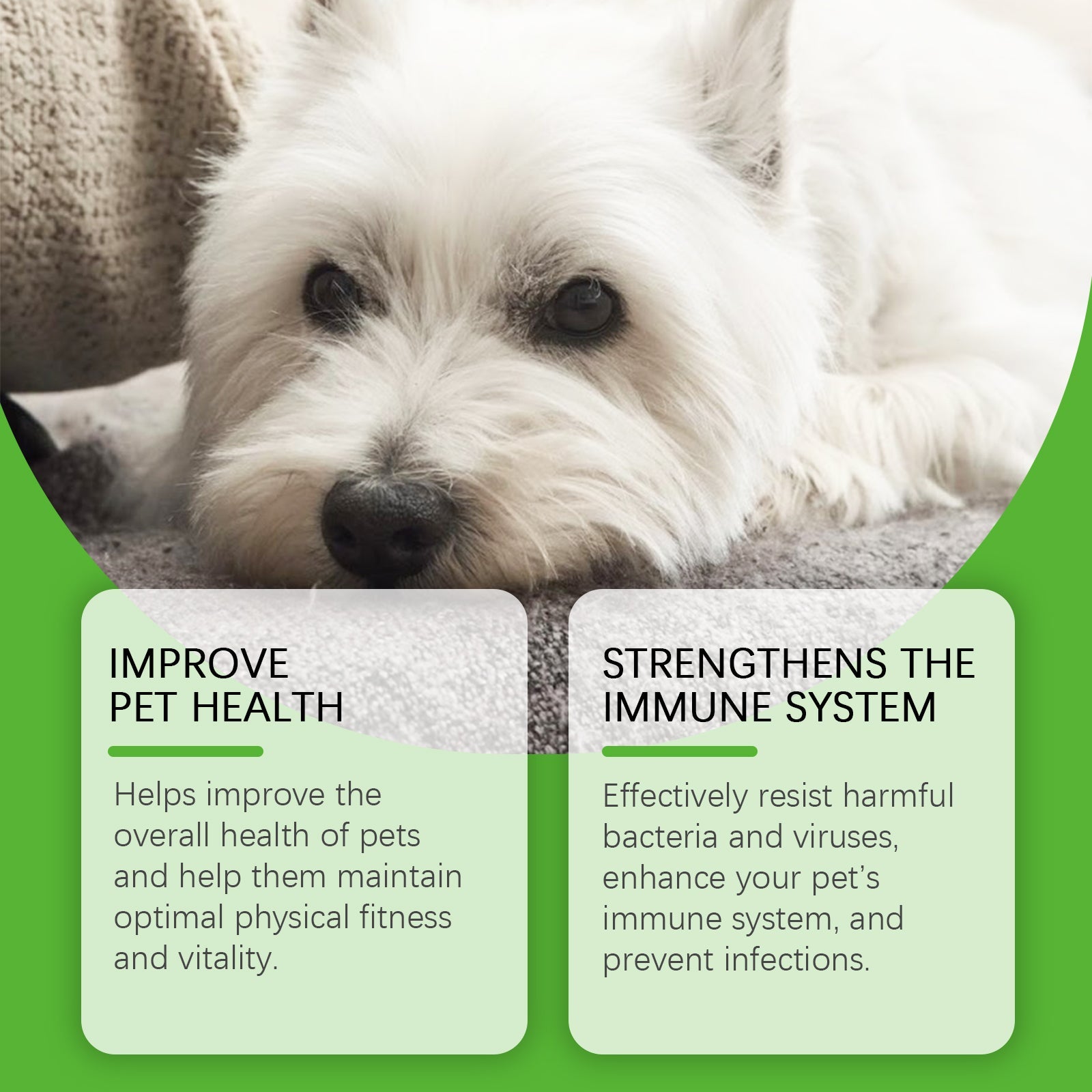Dietary Supplements For Dogs, To Promote Pet Health Pet Dogs Special Dietary Supplements