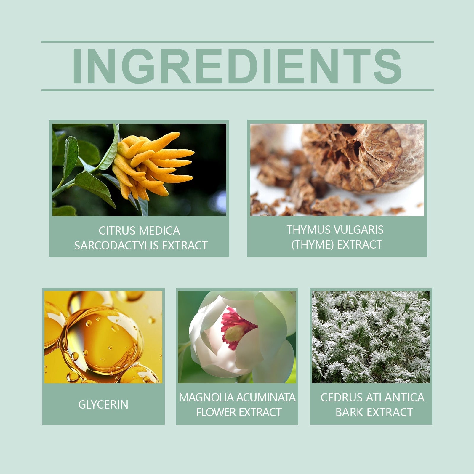 Clear Fragrance Type Solid Balm Fresh Charm Light Elegant Charm Keep Fragrance Fresh Non-Sticky Solid Balm